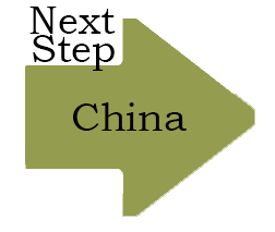 Step 3 China
