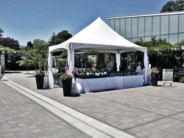 Event Tent Rentals are sometimes needed for shade and an elegant statement of the event about to happen. 